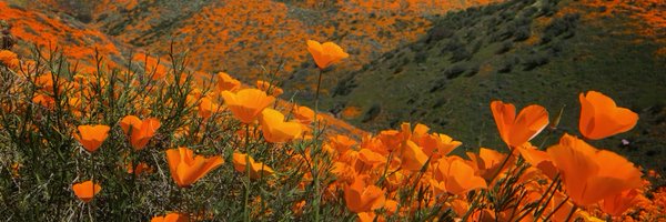 colbydevitt Profile Banner