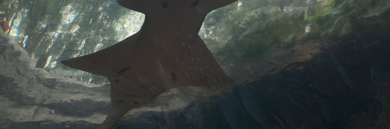 olubasky's profile banner image
