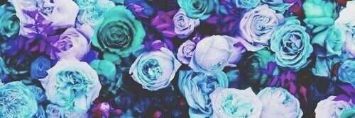 bebu0795's profile banner image