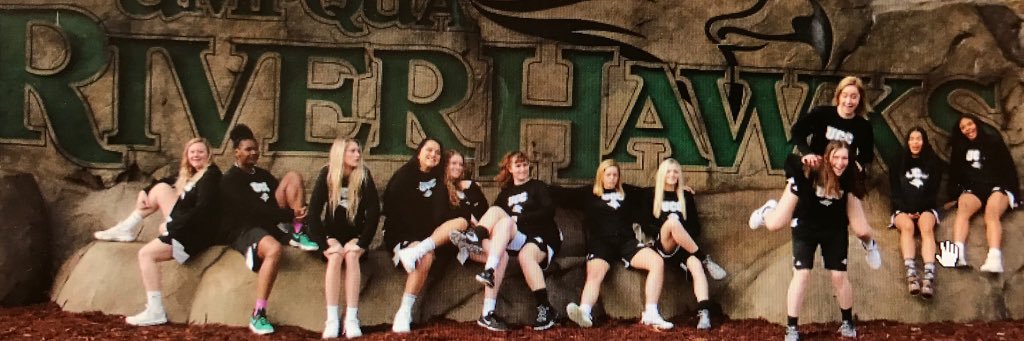 Dave Stricklin banner