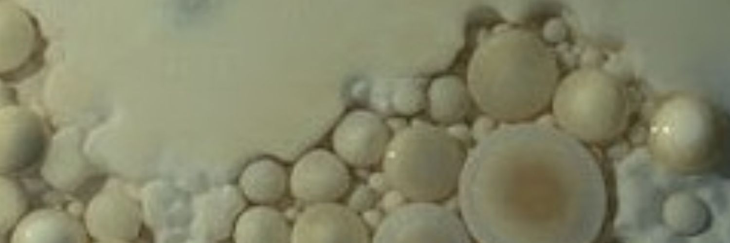 The Mold banner