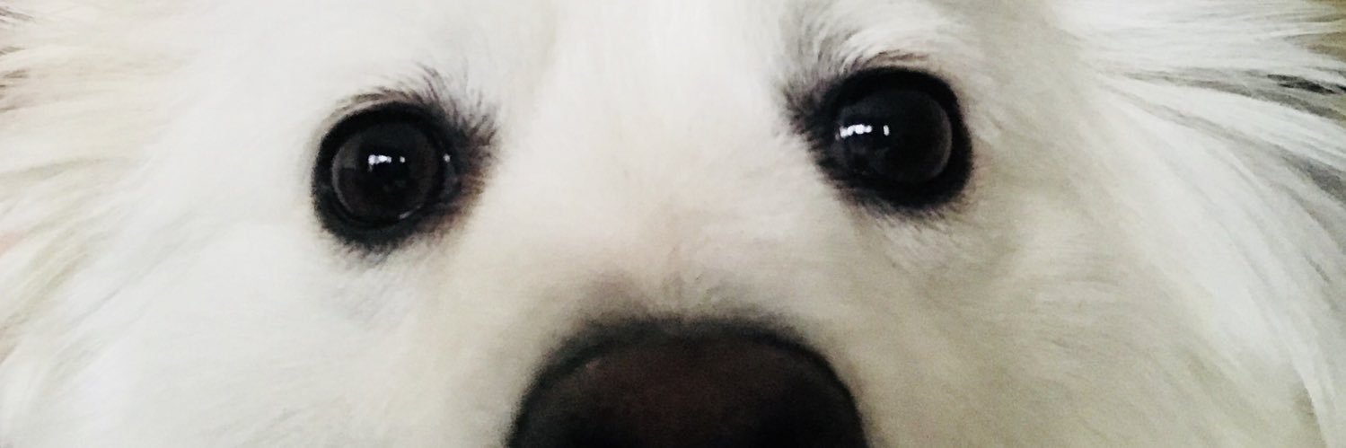 V_Santilli's profile banner image