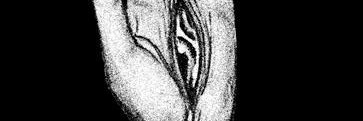 Pintakas banner
