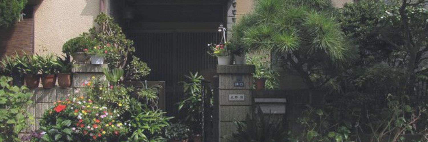 🎁 banner
