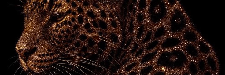 I.E 🌸 banner