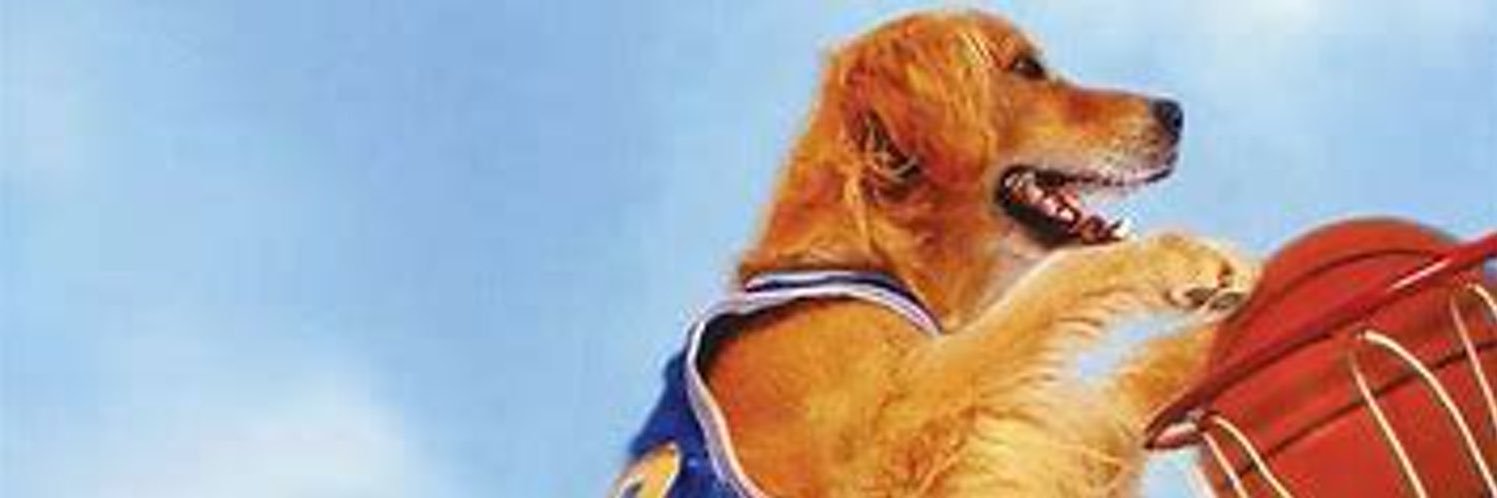 philo13181's profile banner image