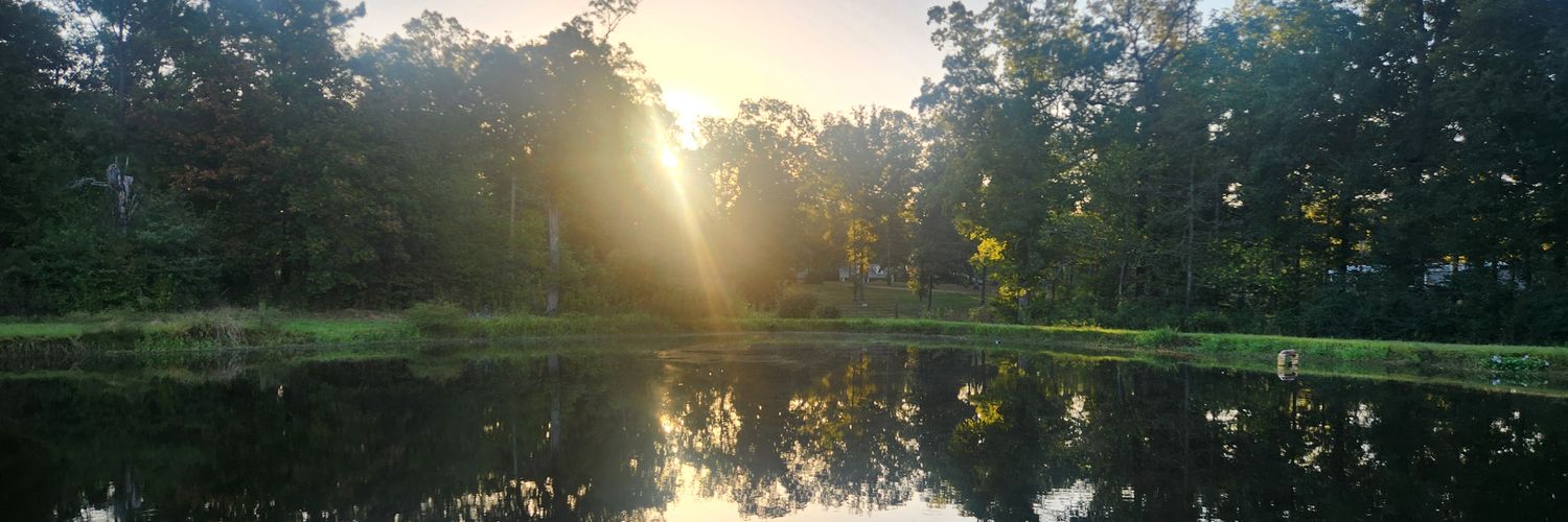 Bob Sullender banner