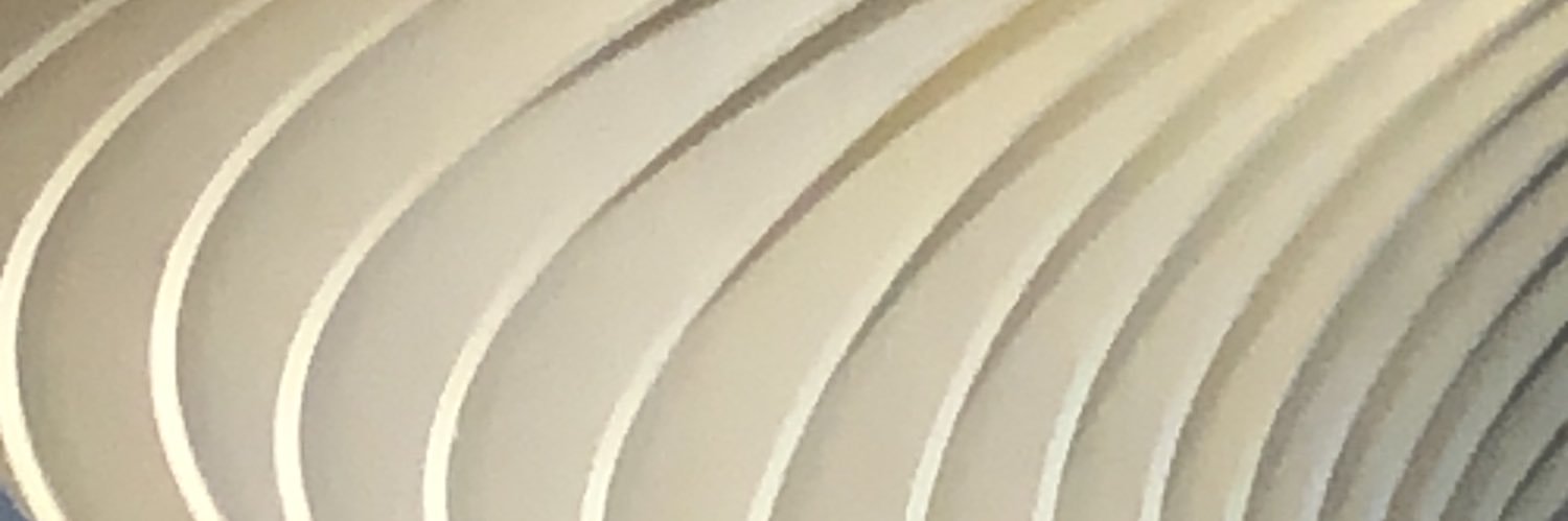 Celiaaok's profile banner image