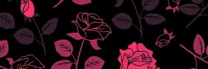 randombozo🌹 || #1 ENA SHINONOME FAN‼️‼️‼️ banner