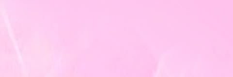 skyeeblehh's profile banner image