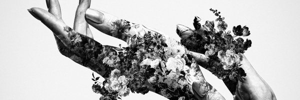 dorukuki Profile Banner