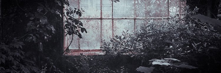 𝘛𝘩𝘦 𝘉𝘦𝘢𝘳 banner