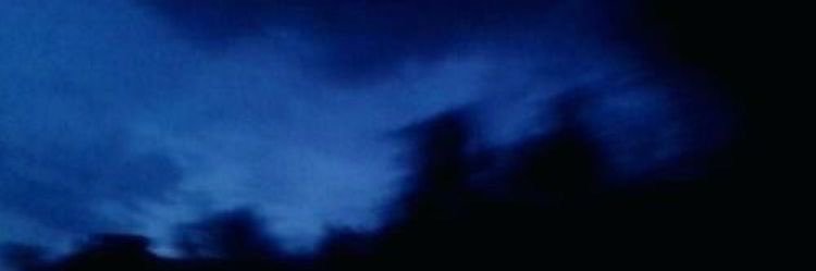 rodeo blue's banner