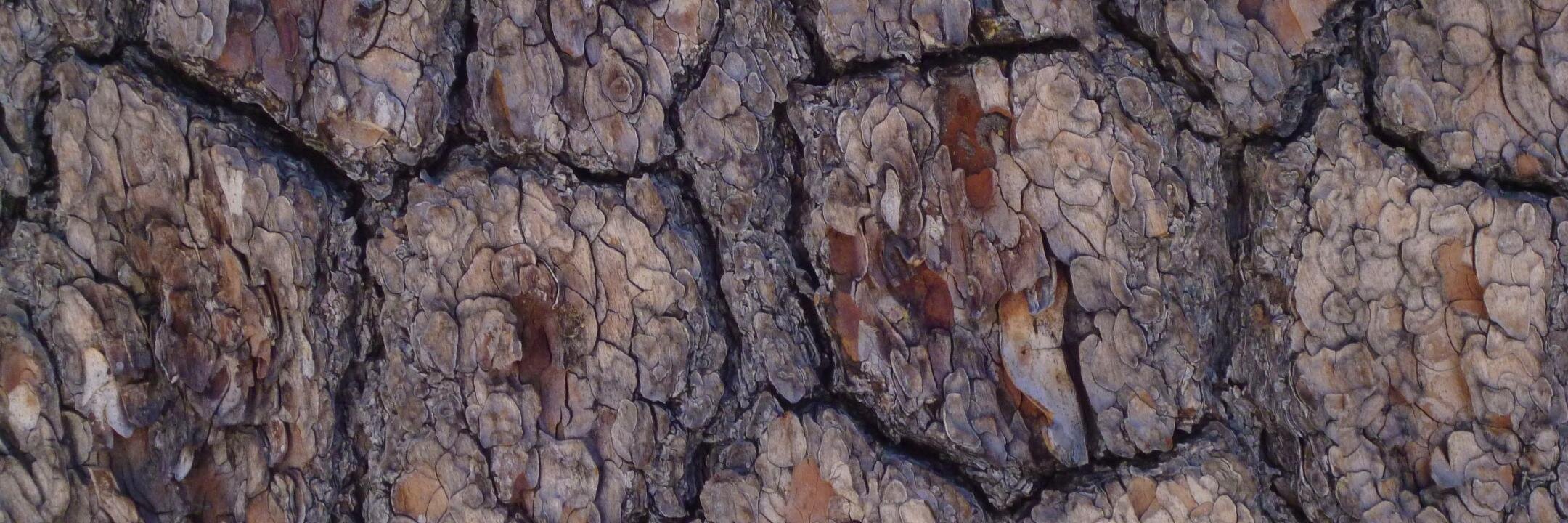 Howard Silverman banner