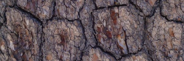 S4Pattern Profile Banner