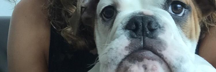 _Extraudreynary's profile banner image
