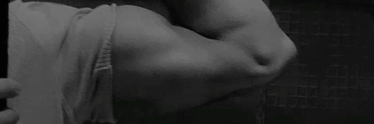 Dipta. banner