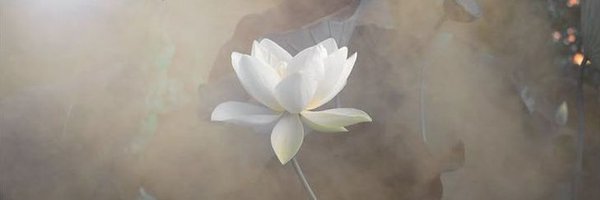 zeysss_ Profile Banner