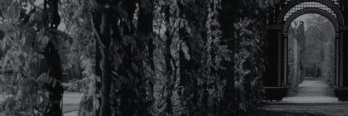 bikama88's profile banner image