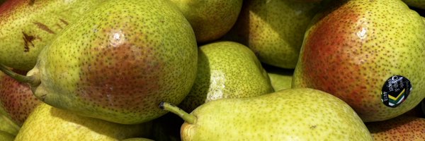 mythserie Profile Banner