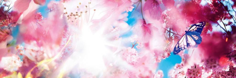 𝕄𝕚𝕟𝕥 banner