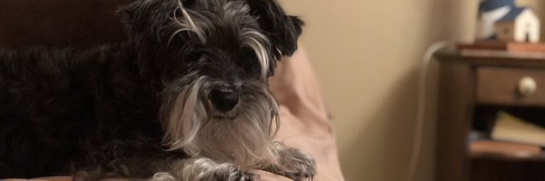 Cornejo_Hec Profile Banner