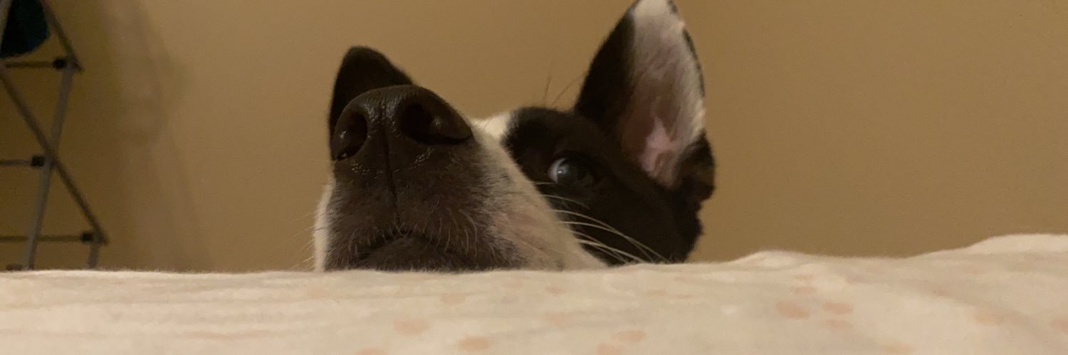 aneeekers's profile banner image