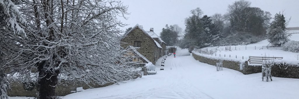 Karl Stephen Martin banner