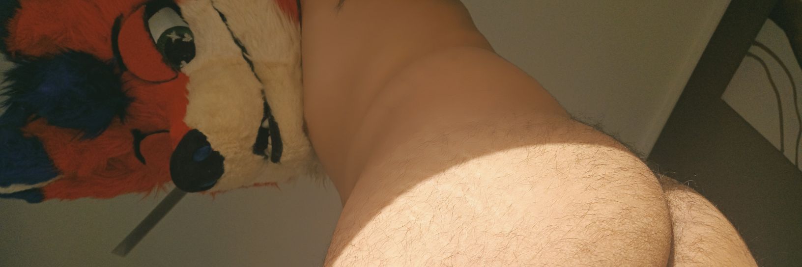 zorro estelar ☄️🌠🦊 banner