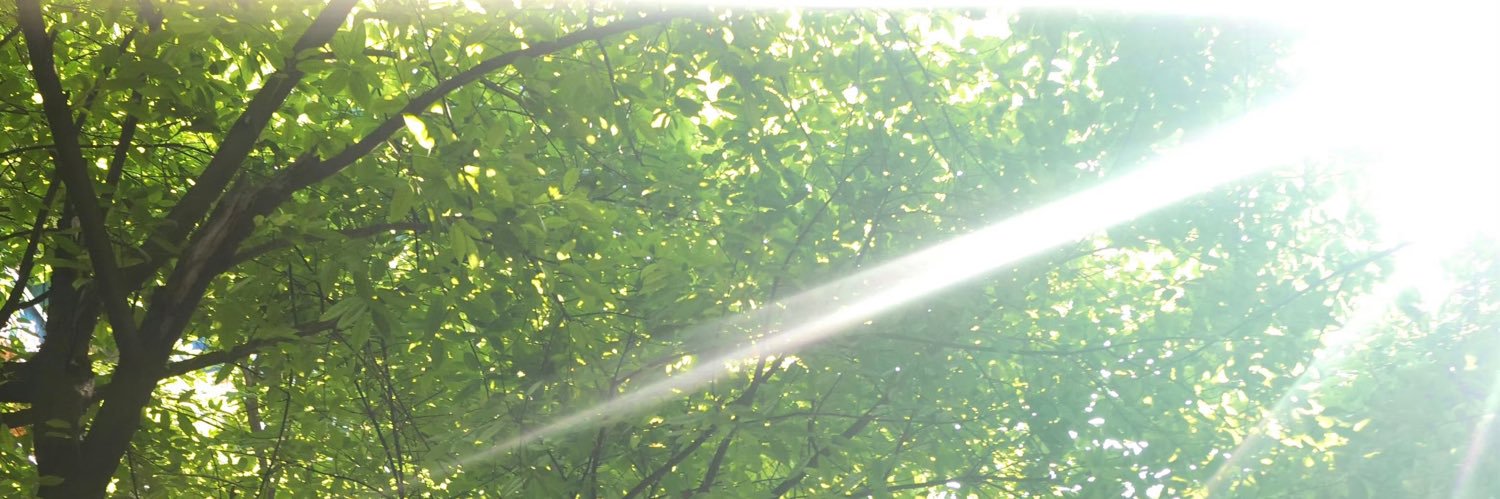ElowenLinn's profile banner image