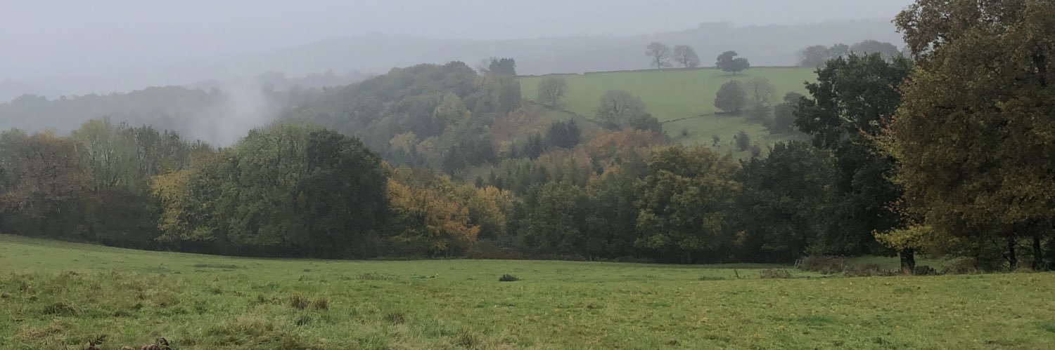 Laura Bandell banner