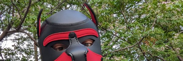 PupTopDev Profile Banner