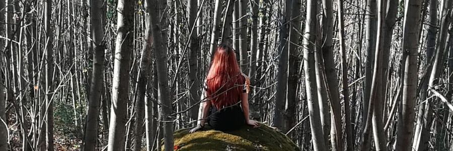 xewa93's profile banner image