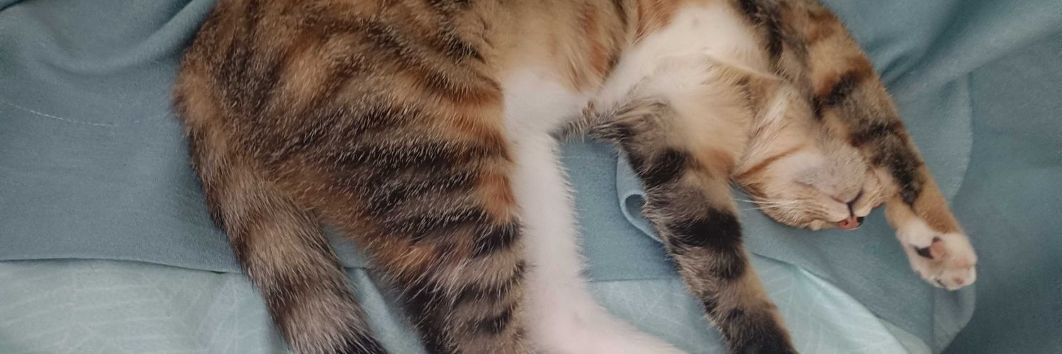 Y_Q___7's profile banner image