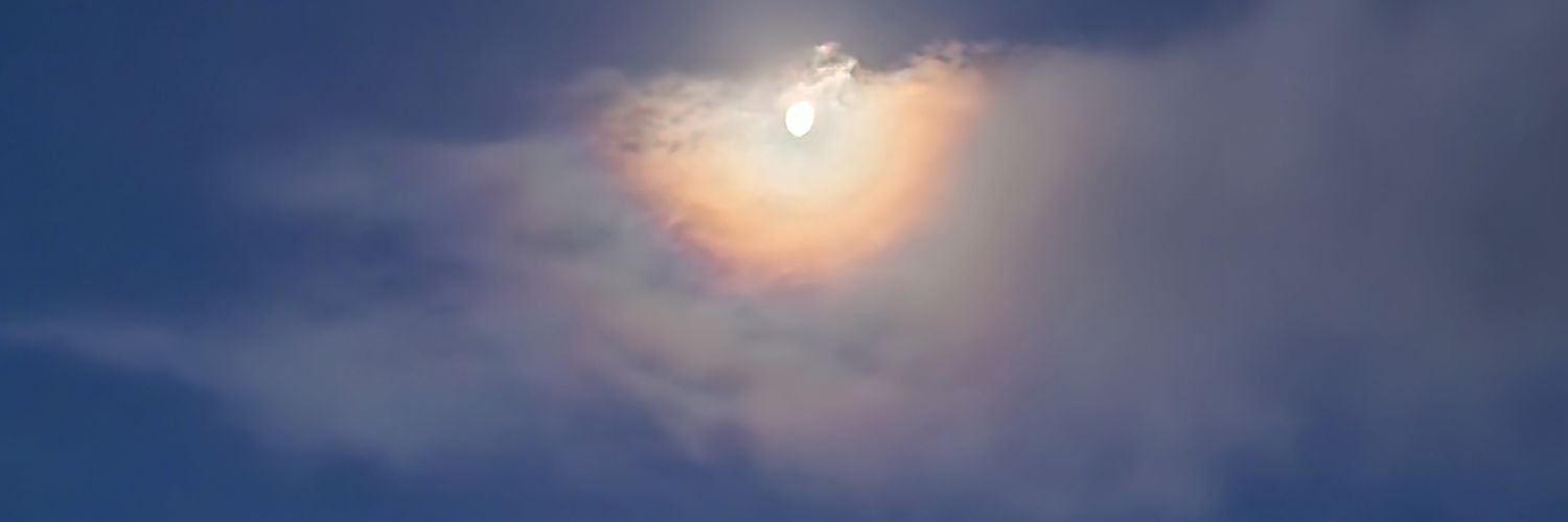 Marion Steggles banner