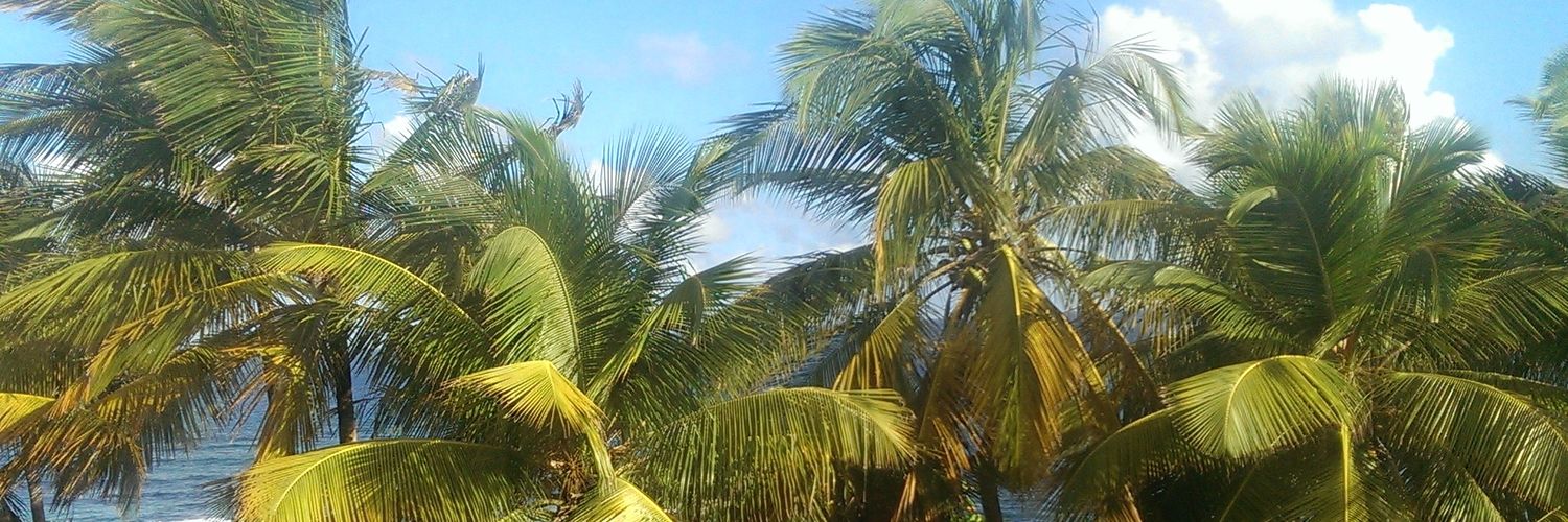 Ouedwards's profile banner image
