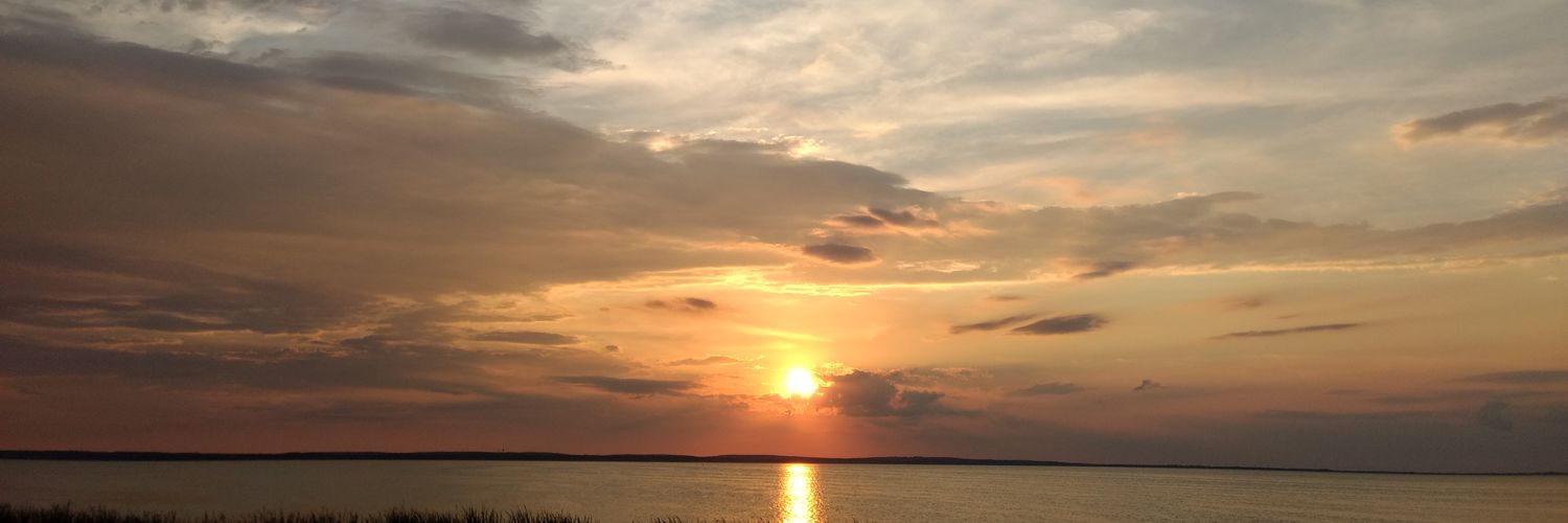 randomross's profile banner image
