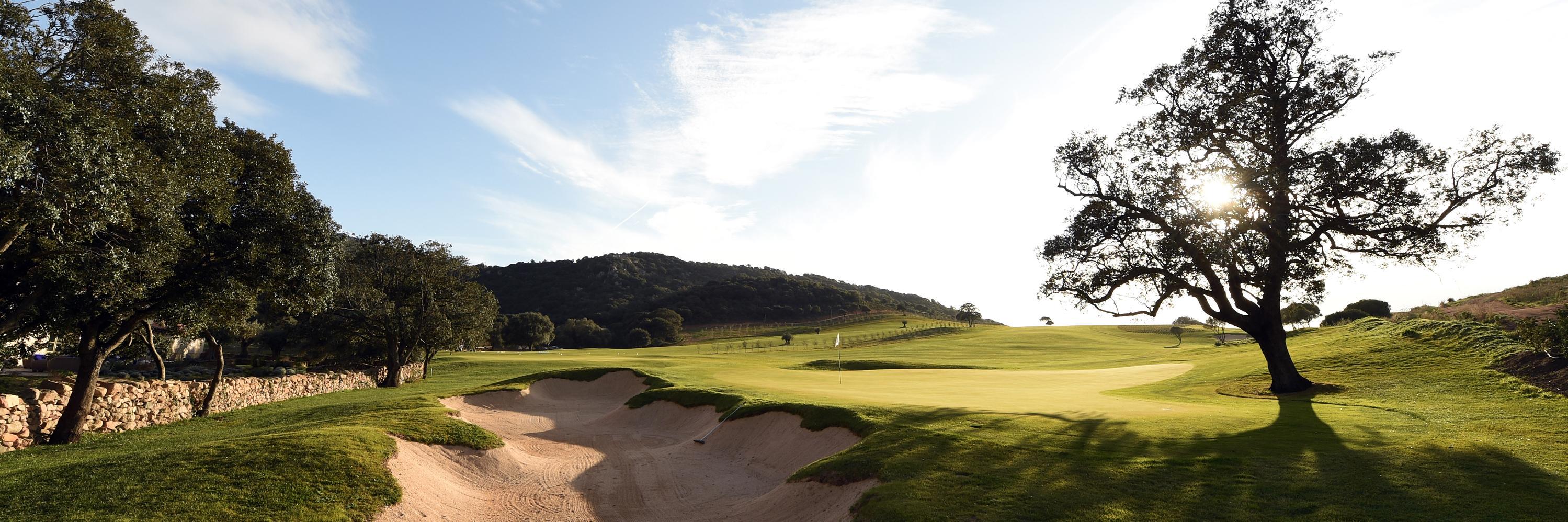 Kyle Phillips banner