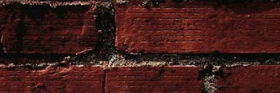 Prayu banner