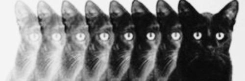 pinnybam's profile banner image