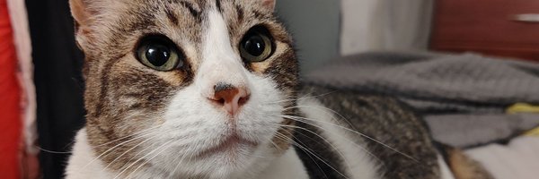 djmovideee Profile Banner