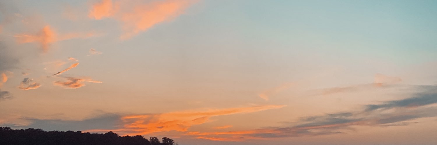 SARIASLY's profile banner image
