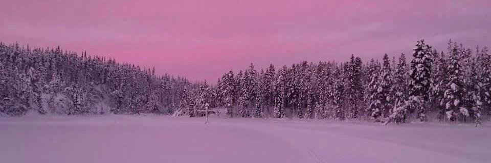 ajpski's profile banner image