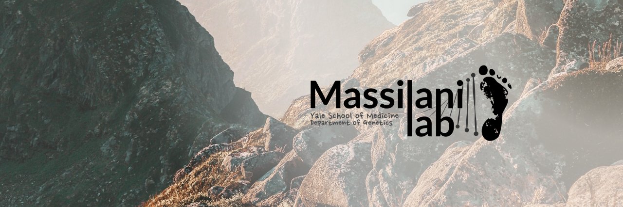 Massilani Lab's banner