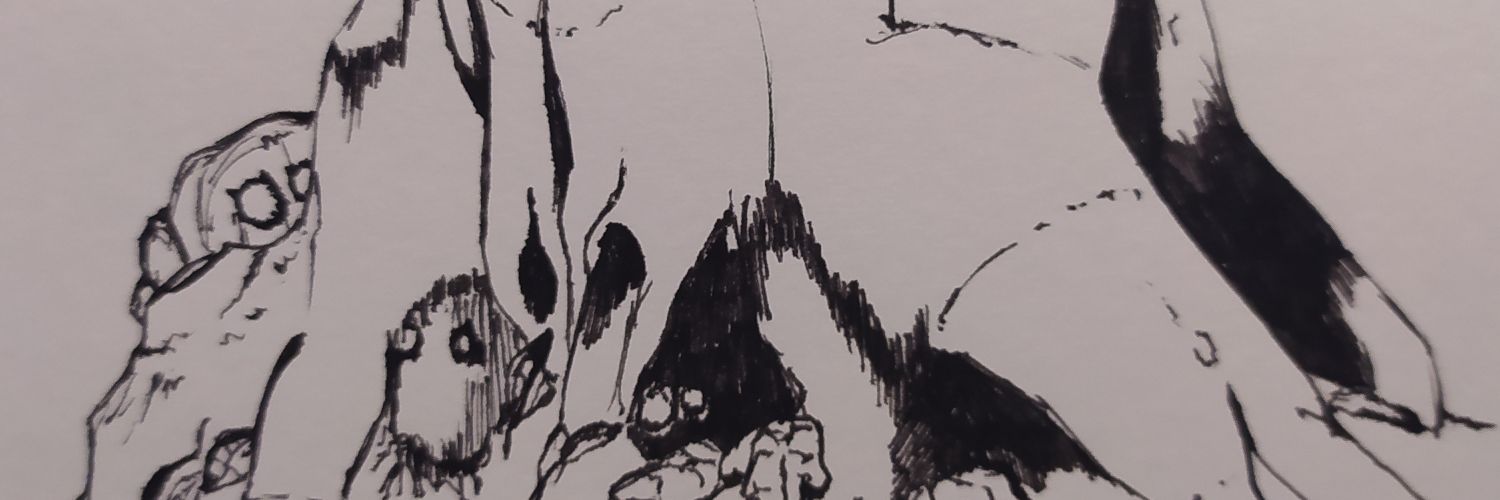 EVA-simy banner