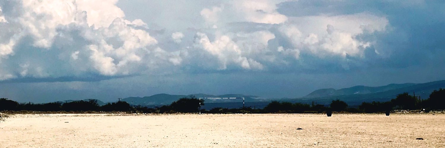 Guadalupe Ramírez banner