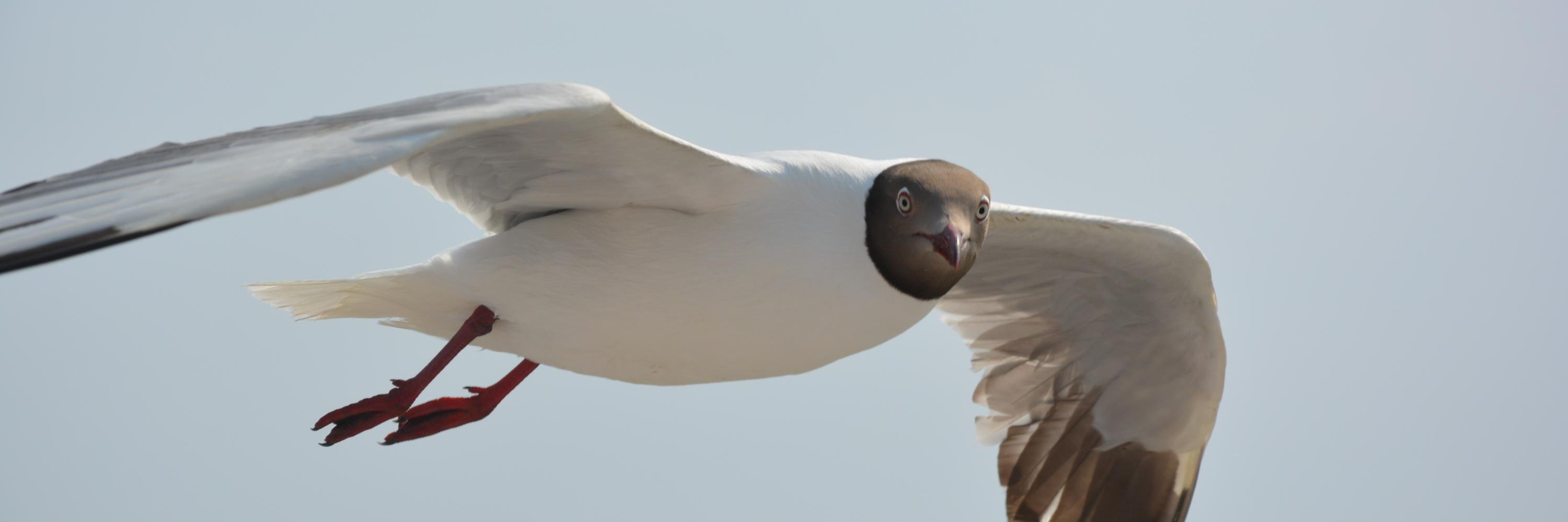 deepakkamboj's profile banner image
