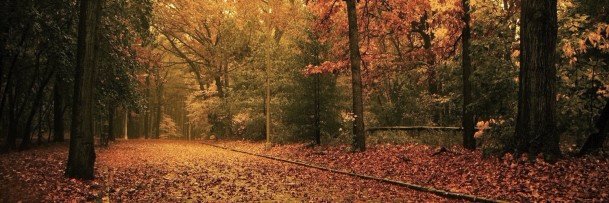 Prairie_Boy's profile banner image