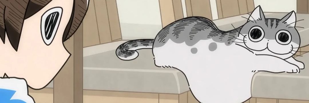 hzRal's profile banner image