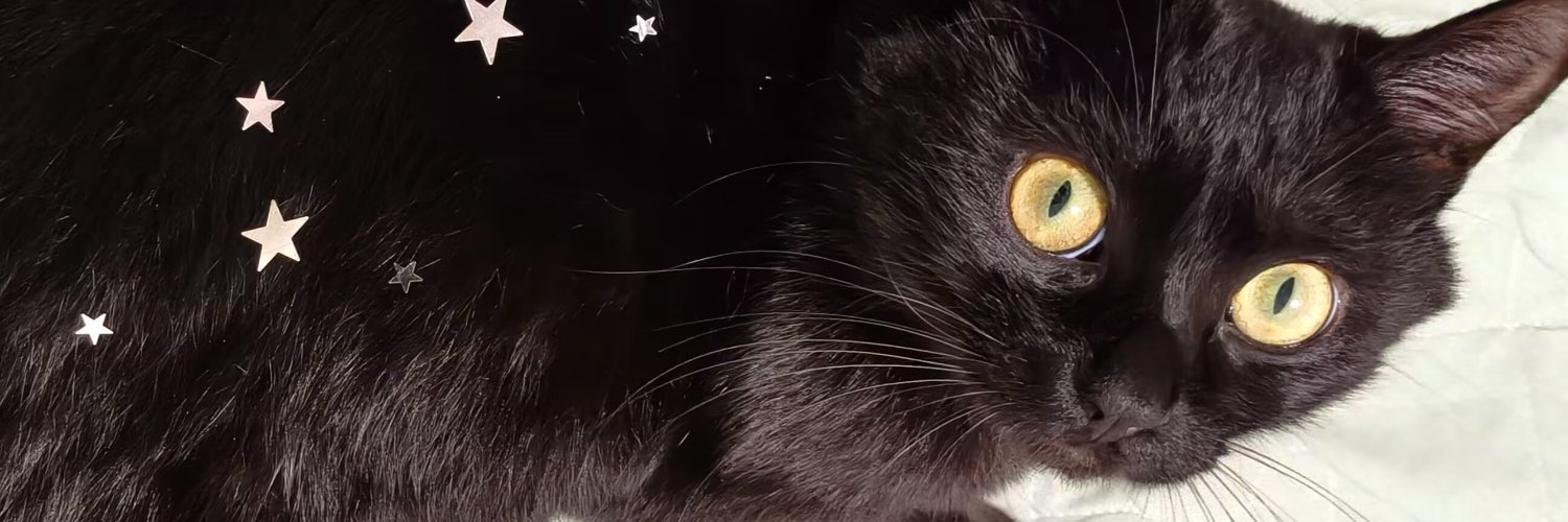 windandows's profile banner image